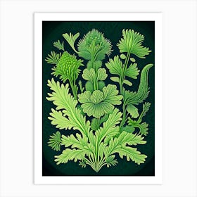 Club Moss Wildflower Vintage Botanical 2 Art Print