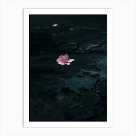 Dark Flower 15 Art Print