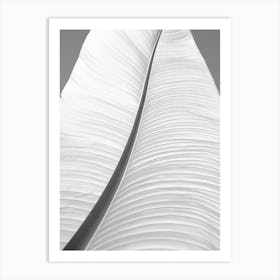 Black And White Banana Leaf Art Print