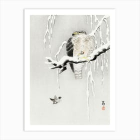 Hawk With Captured Ring Sparrow (1900 1930), Ohara Koson Art Print