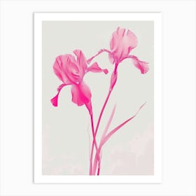Hot Pink Iris 3 Art Print