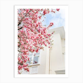 London Magnolia Bloom Art Print