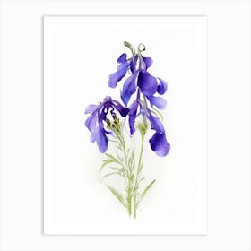 Larkspur Wildflower Watercolour 2 Art Print