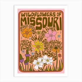 Missouri Wildflowers Art Print