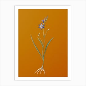 Vintage Ixia Secunda Botanical on Sunset Orange n.0769 Art Print