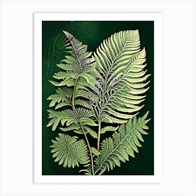 Tasmanian Tree Fern 1 Vintage Botanical Poster Art Print