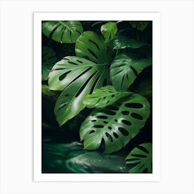 Tropical Jungle Abundant With Monstera Leaves And Flowing Rivers Art Print