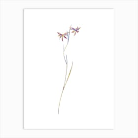 Stained Glass Gladiolus Watsonius Mosaic Botanical Illustration on White Art Print