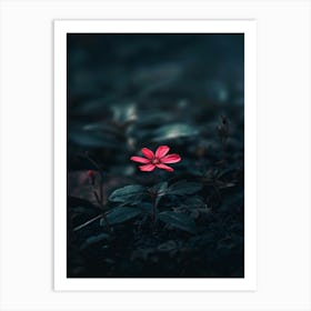 Flower In The Dark 64 Art Print