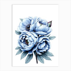 Blue Peonies Art Print