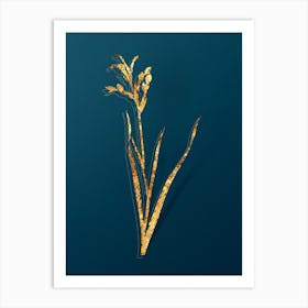 Vintage Gladiolus Cunonius Botanical in Gold on Teal Blue n.0057 Art Print