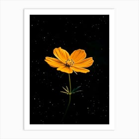 Flower On A Black Background 9 Art Print