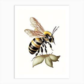 Stinger Bee 6 Vintage Art Print
