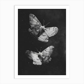 Moths 1 Art Print