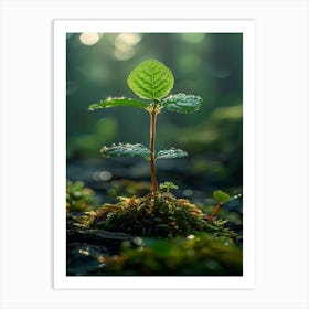 Moss And Leaf Art Print