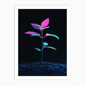 Neon Plant On Black Background 7 Art Print