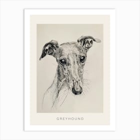 Greyhound Line Sketch 1 Poster Art Print