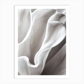 White Flower close up Art Print