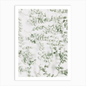 Eucalyptus Art Print