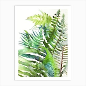 Bracken Fern Wildflower Watercolour Art Print