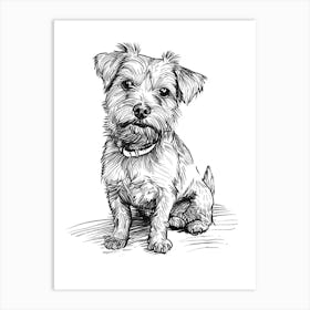 Norfolk Terrier Dog Line Sketch 2 Art Print