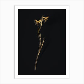 Vintage Gladiolus Watsonius Botanical in Gold on Black n.0386 Art Print