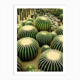 Cactus Garden 3 Art Print