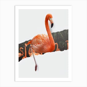 Flamingo Torn Paper Art Print
