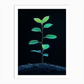 Green Plant Sprouting From The Ground 1 Art Print