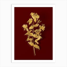 Vintage Stinking Tutsan Botanical in Gold on Red n.0127 Art Print