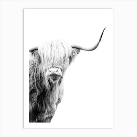 Highland Cow 5 Art Print