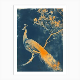 Orange & Blue Peacock Cyanotype Inspired 2 Art Print
