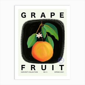 Grapefruit Fruit Kitchen Typography Art Print