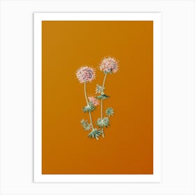 Vintage Crucianella Flower Branch Botanical on Sunset Orange n.0432 Art Print