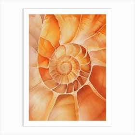 Nautilus Shell 12 Art Print