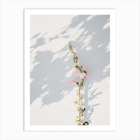 Flower Shadows Art Print