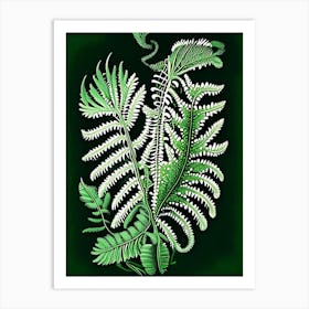 Netted Chain Fern 1 Vintage Botanical Poster Art Print