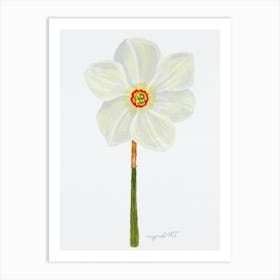 Daffodil 7 Art Print