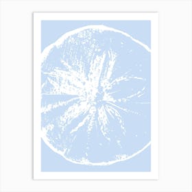 Sand Dollar 2 Art Print