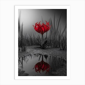 Flower In A Puddle 1 Art Print