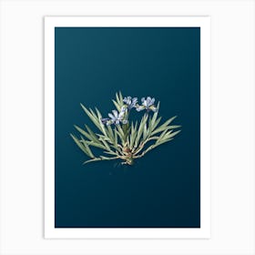 Vintage Dwarf Crested Iris Botanical Art on Teal Blue n.0141 Art Print