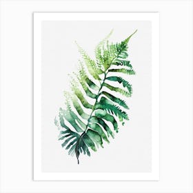 Walking Fern Watercolour Art Print