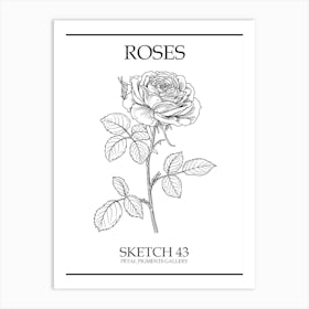 Roses Sketch 43 Poster Art Print