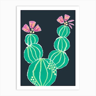 Desert Plant Art Print