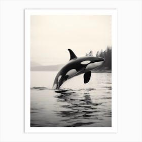Realistic Black & White Photography Of Orca Whale Diving Out Of Ocean 3 Art Print