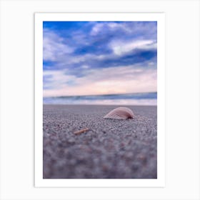 Shell By The Sea Art Print