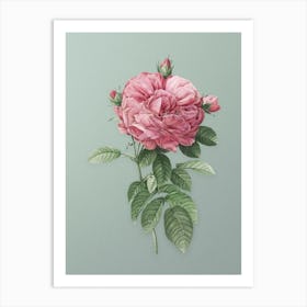 Vintage Giant French Rose Botanical Art on Mint Green n.0672 Art Print