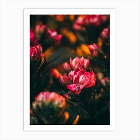 Poster Flower Art Print 12 Art Print