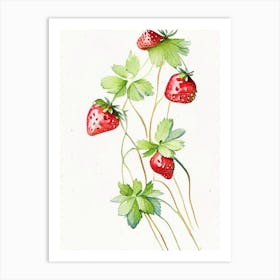 Alpine Strawberries, Plant, Minimalist Watercolour 1 Art Print