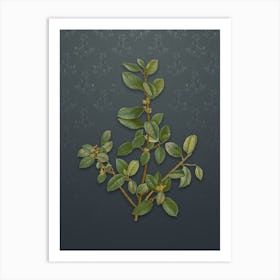 Vintage Italian Buckthorn Botanical on Slate Gray Pattern n.2285 Art Print